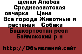 щенки Алабая (Среднеазиатская овчарка) › Цена ­ 15 000 - Все города Животные и растения » Собаки   . Башкортостан респ.,Баймакский р-н